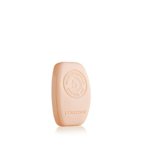 L’occitane Aromakoloji Onarıcı Katı Şampuan - Aromachology Intense Repair Solid Shampoo
